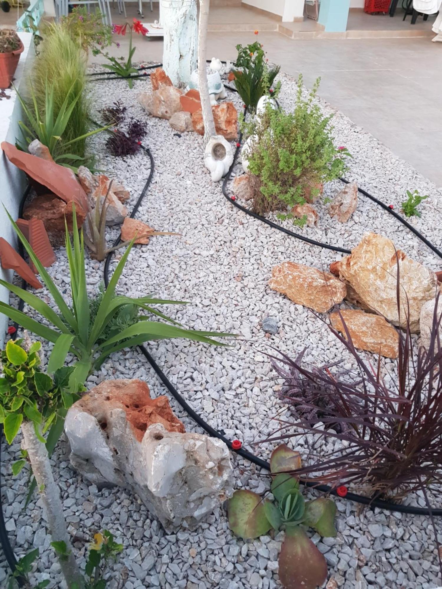 Haraki Mare Studios Beach Front Eksteriør bilde